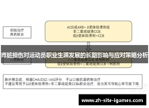 肾脏损伤对运动员职业生涯发展的长期影响与应对策略分析 肾脏损伤对运动员职业生涯发展的长期影响与应对策略分析