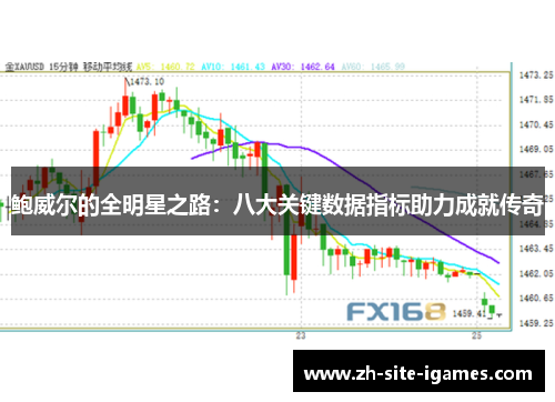 鲍威尔的全明星之路：八大关键数据指标助力成就传奇